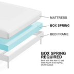 Furniture of America Arlena Classic Modern Solid Wood Panel Bed