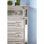 Eaen Glam Champagne Solid Wood 5-Drawer Chest by Furniture of America