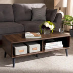 Mid-Century Modern Brown Coffee Table by