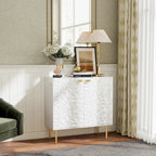 Clihome 2 Door Locker Storage Accent Cabinet