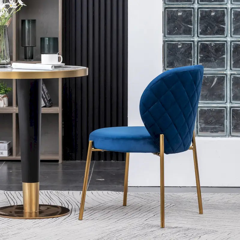 Amoa Contemporary Velvet Upholstery Dining Chair