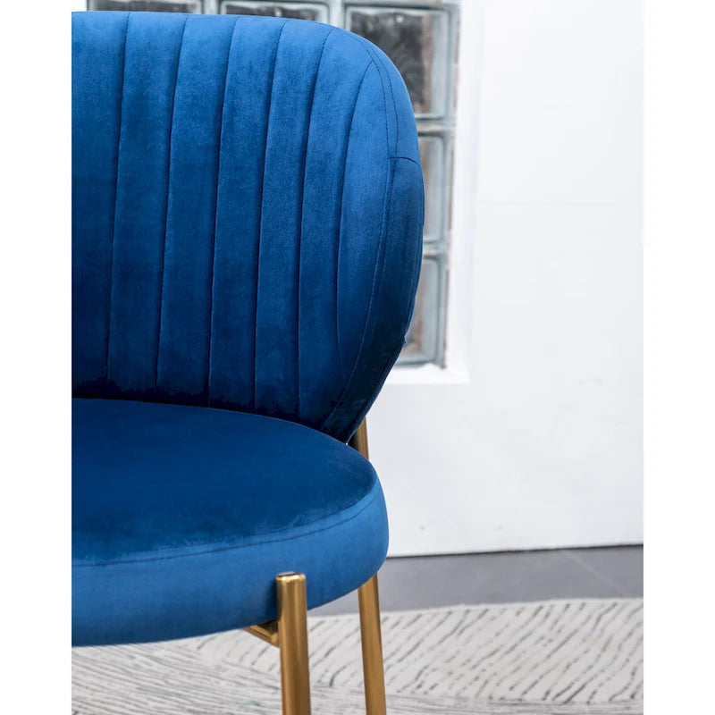 Amoa Contemporary Velvet Upholstery Dining Chair