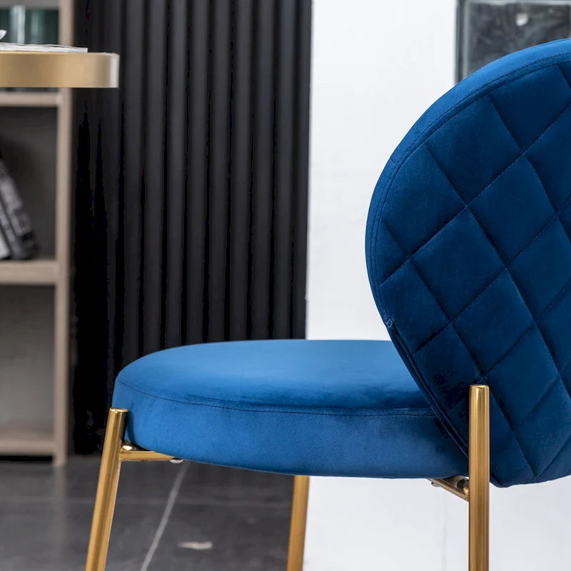Amoa Contemporary Velvet Upholstery Dining Chair