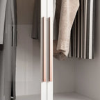 Glass Door Wardrobe Armoire Storage Closet with Light Display Cabinet