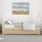 Modern Twin Bed Frame With Trundle